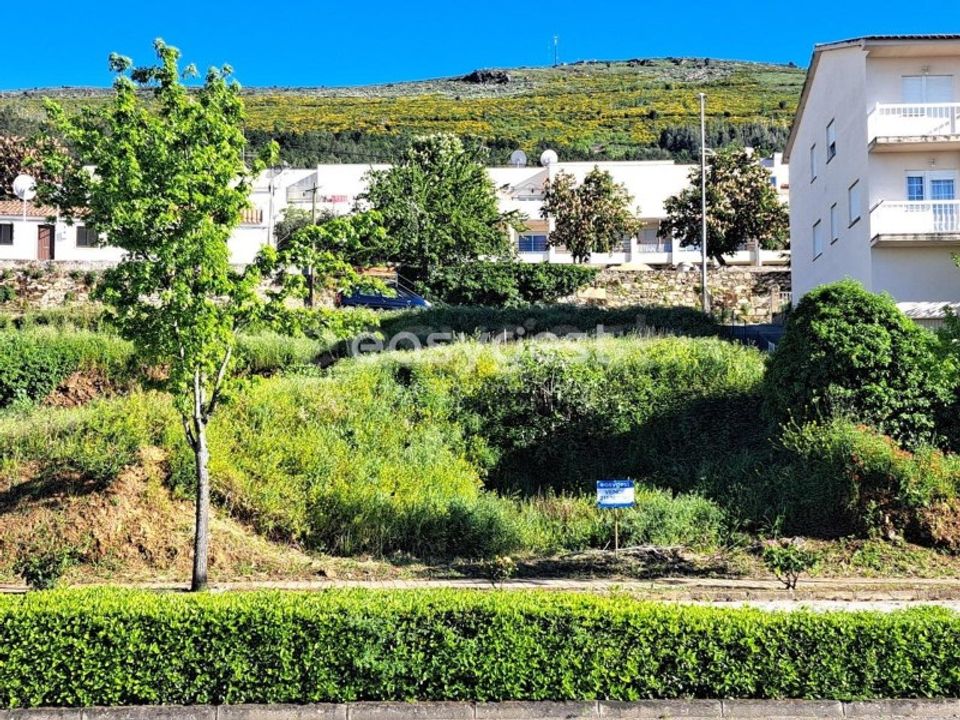 Terra a Torre de Moncorvo, Braganca - foto 1