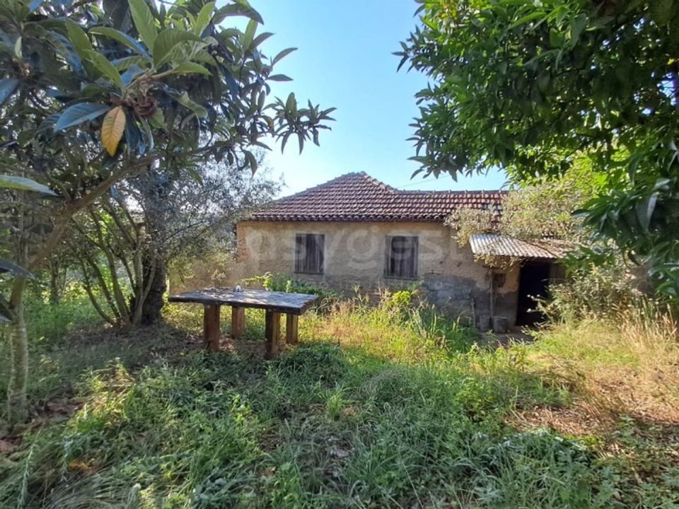 Farm i Dardavaz, Viseu - foto 3