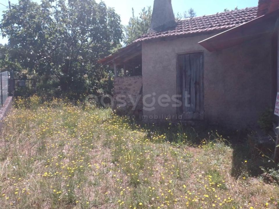 Farm i Dardavaz, Viseu - foto 5