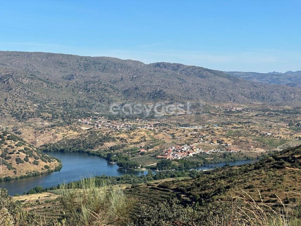Terra a Torre de Moncorvo, Braganca - foto 1