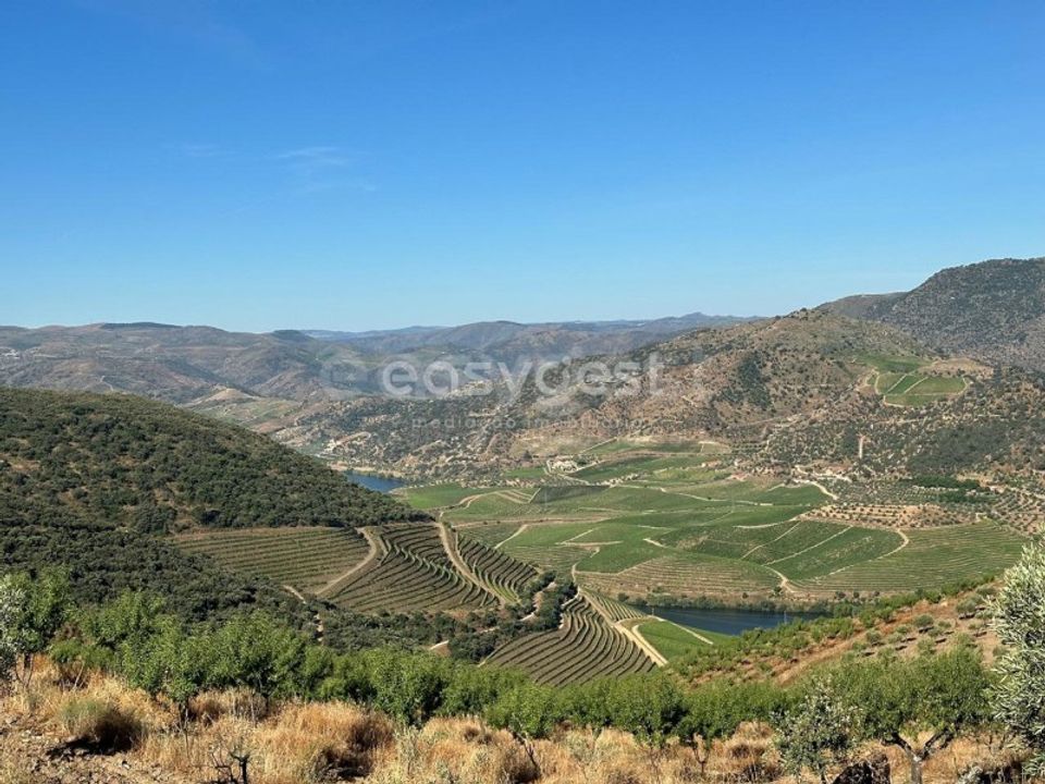 Terra a Torre de Moncorvo, Braganca - foto 2