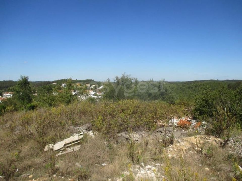 Tomt i Soure, Coimbra - bilde 3