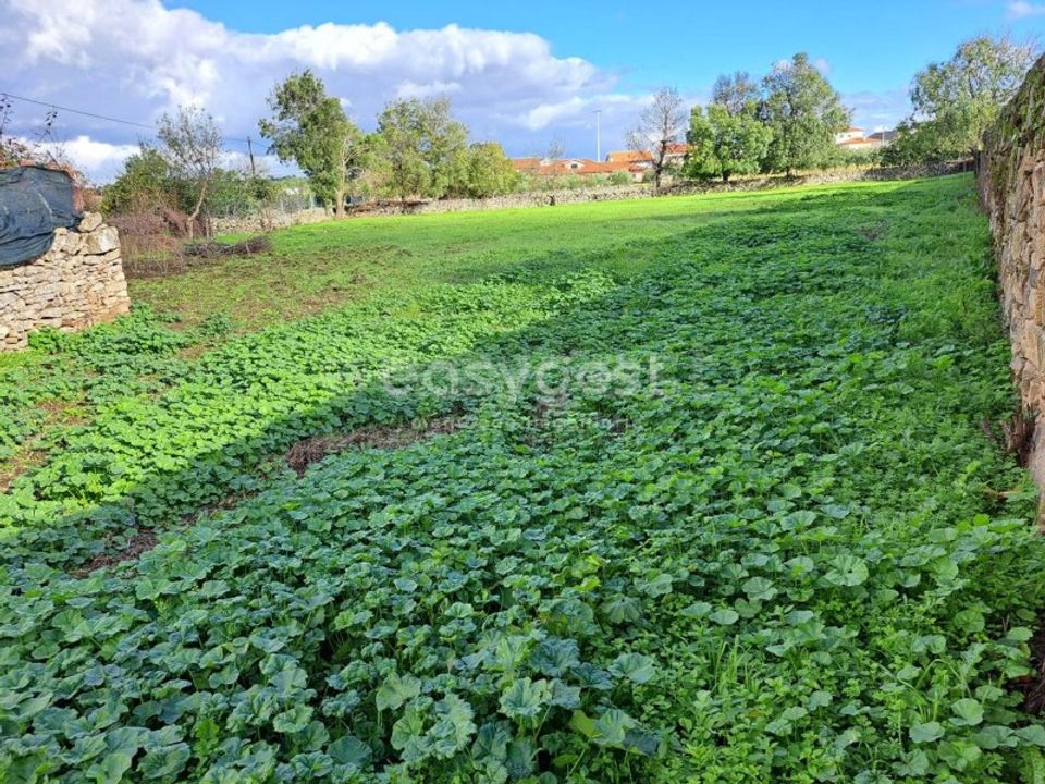 Villa i Carvicais, Braganca - foto 3
