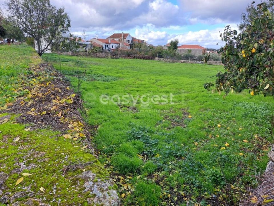 Villa i Carvicais, Braganca - foto 4