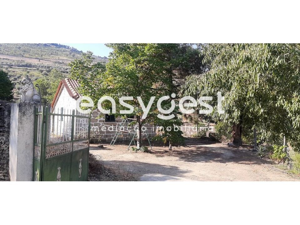 Farm i Torre de Moncorvo, Braganca - foto 3