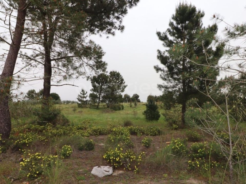 Helårsgrund i Montijo, Setubal - foto 2