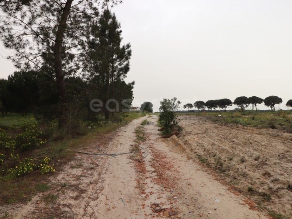 Helårsgrund i Montijo, Setubal - foto 4
