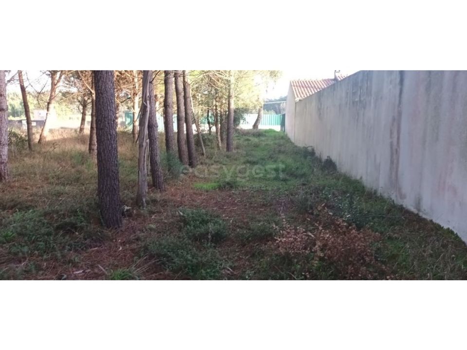 Helårsgrund i Leiria, Leiria - foto 3