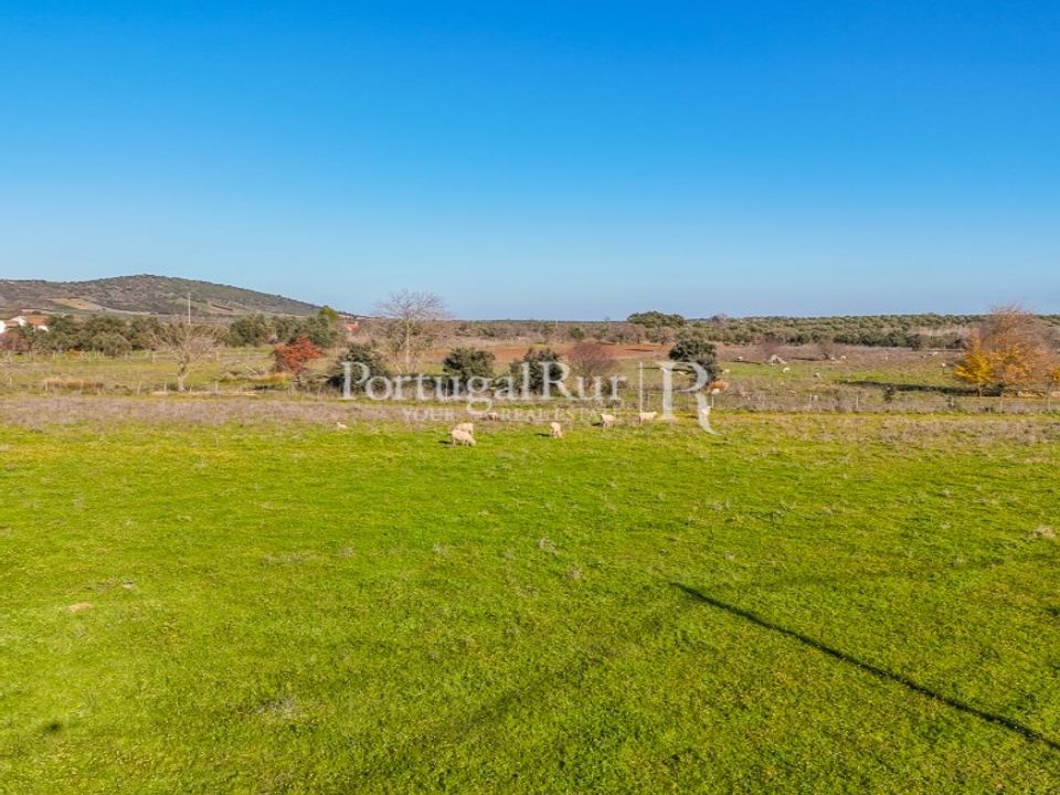 Helårsgrund i Evora, Evora - foto 4