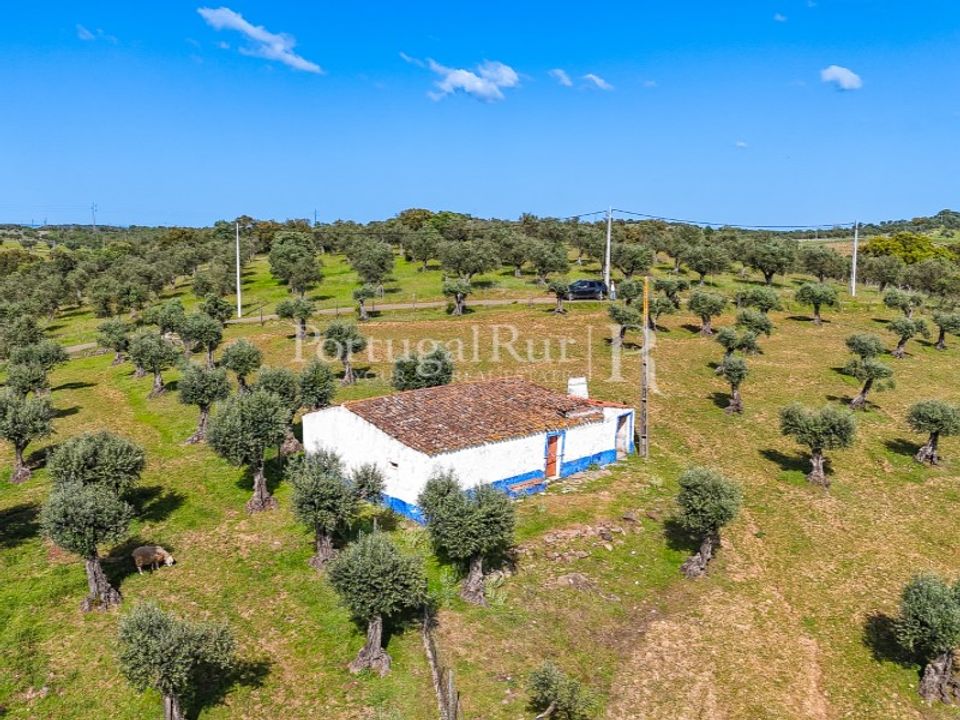 Masia a Redondo, Evora - foto 2