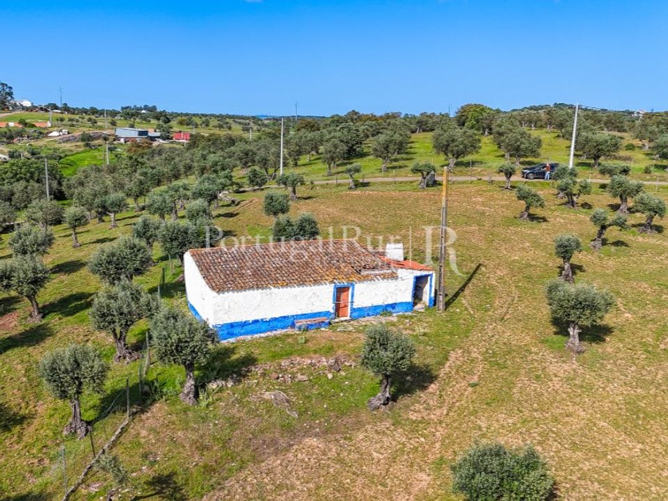Masia a Redondo, Evora - foto 3