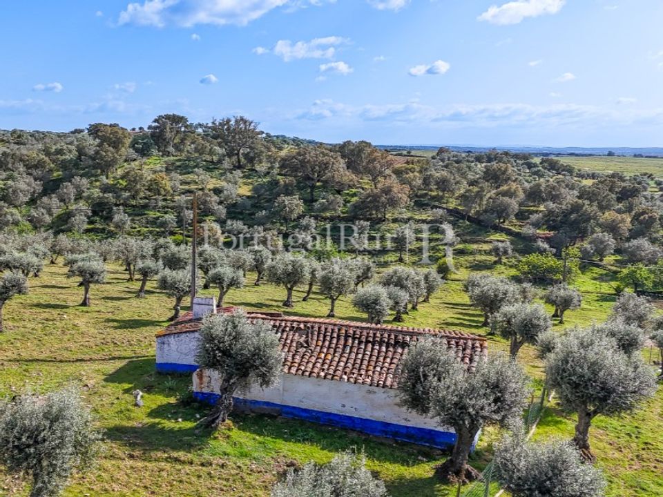 Masia a Redondo, Evora - foto 4