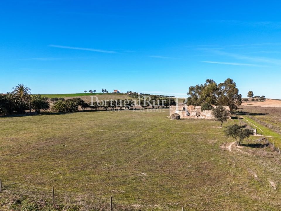 Farm i Castro Verde, Beja - foto 3