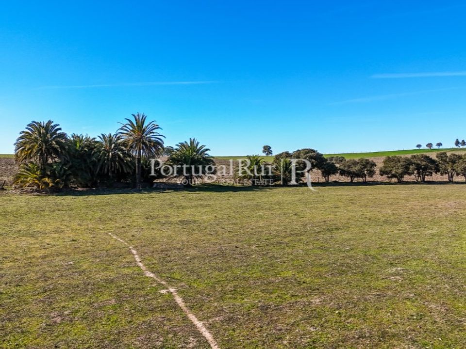 Farm i Castro Verde, Beja - foto 5