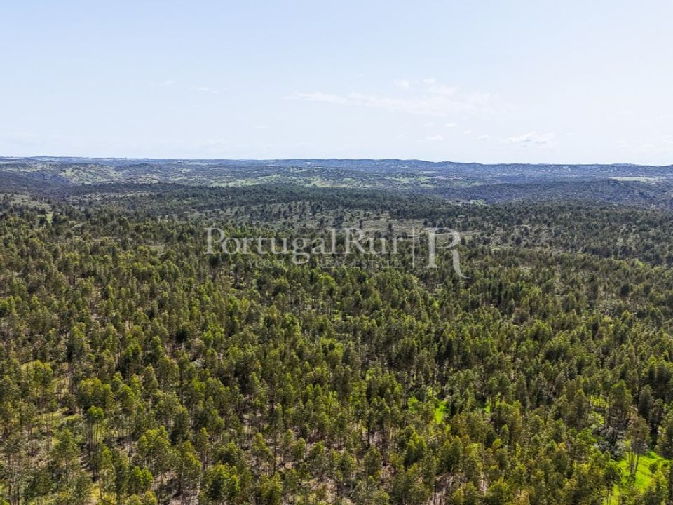 Landejendom i Alandroal, Evora - foto 4