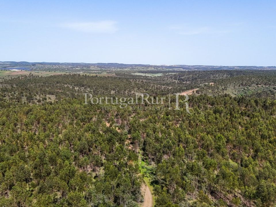Landejendom i Alandroal, Evora - foto 5