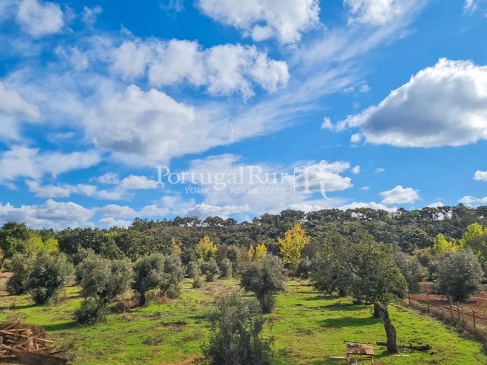 Gårdshus i Cercal do Alentejo, Setubal - bilde 4