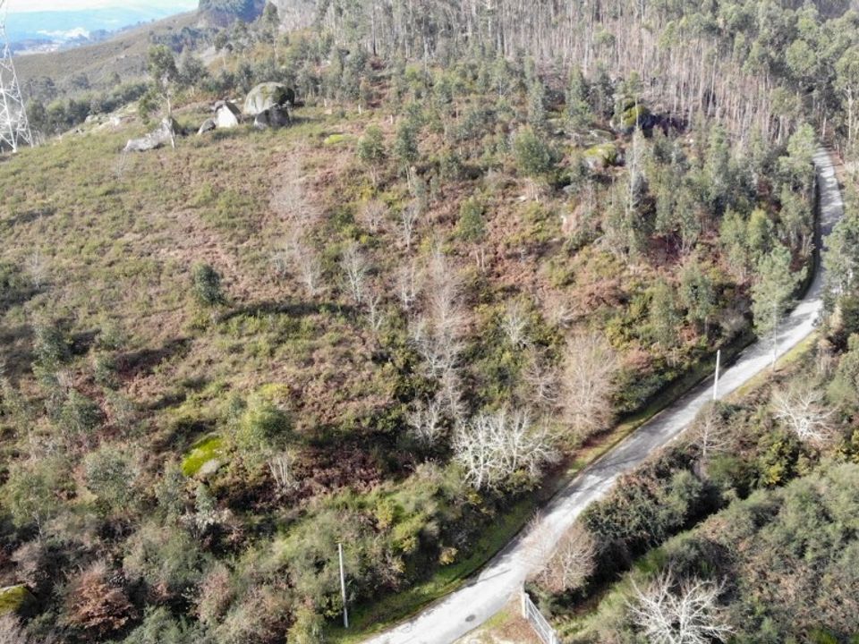 Helårsgrund i Vieira do Minho, Braga - foto 2