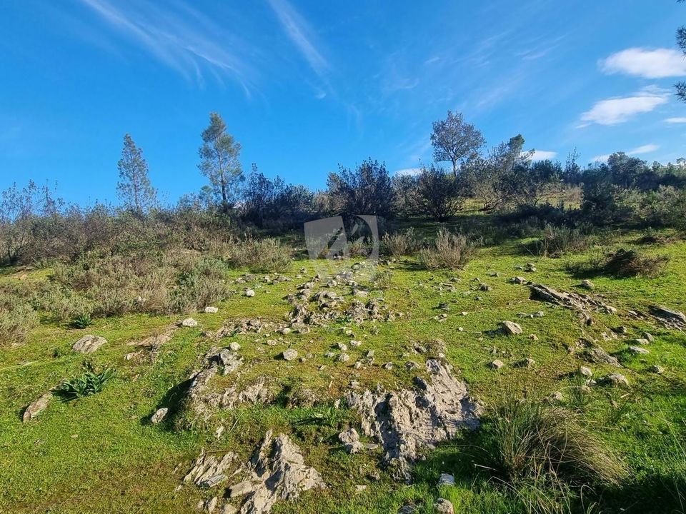 Helårsgrund i Castelo Branco, Castelo Branco - foto 4