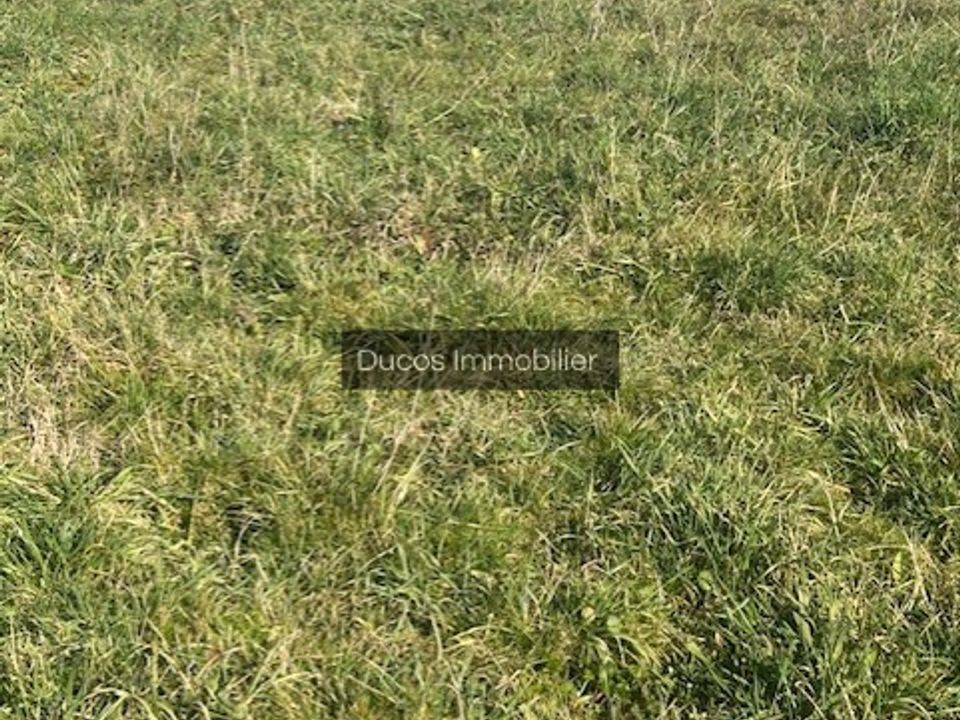 Helårsgrund i Beaupuy, Lot-et-Garonne - foto 2