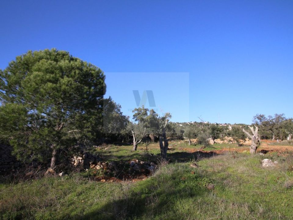 Landejendom i Sao Bras de Alportel, Faro - foto 3