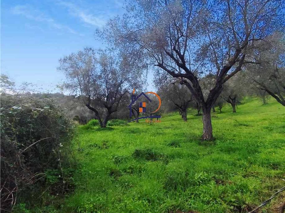 Helårsgrund i Corigliano-Rossano, Cosenza - foto 2