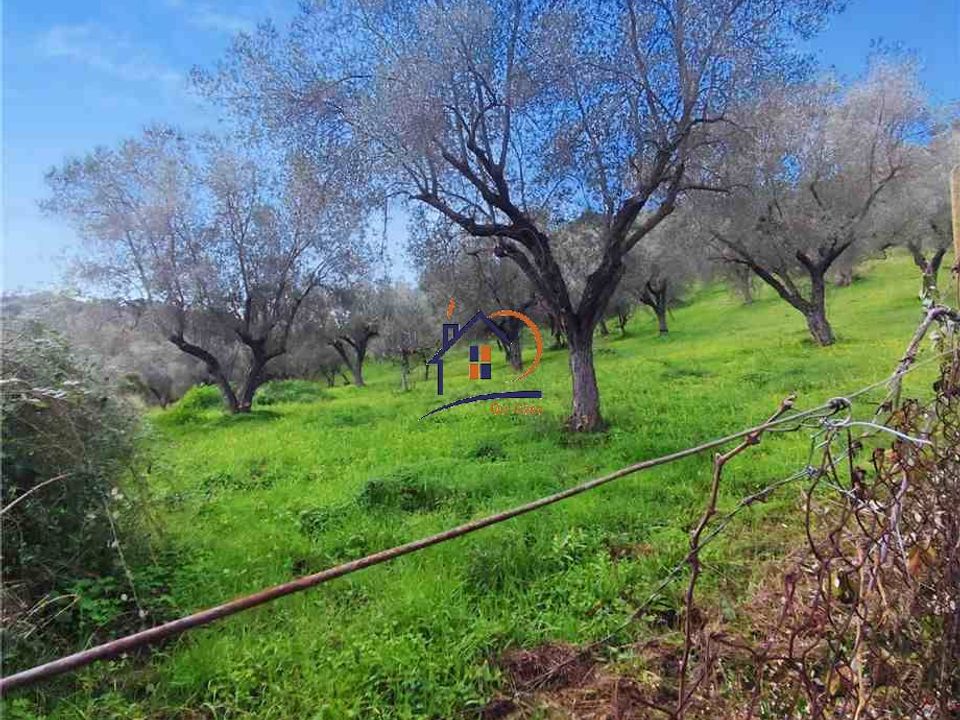 Helårsgrund i Corigliano-Rossano, Cosenza - foto 3