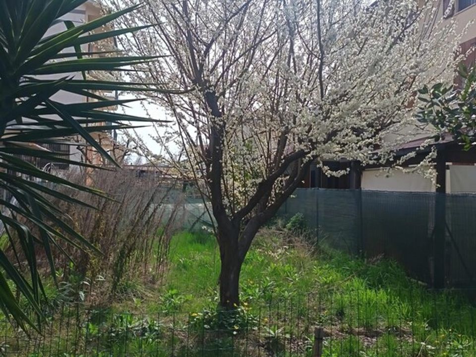 Lejlighed i Sant'Elpidio a Mare, Fermo - foto 2
