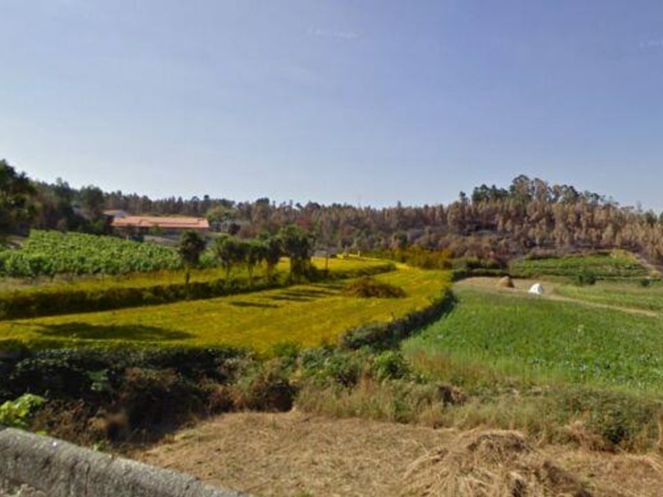 Helårsgrund i Penafiel, Porto - foto 5