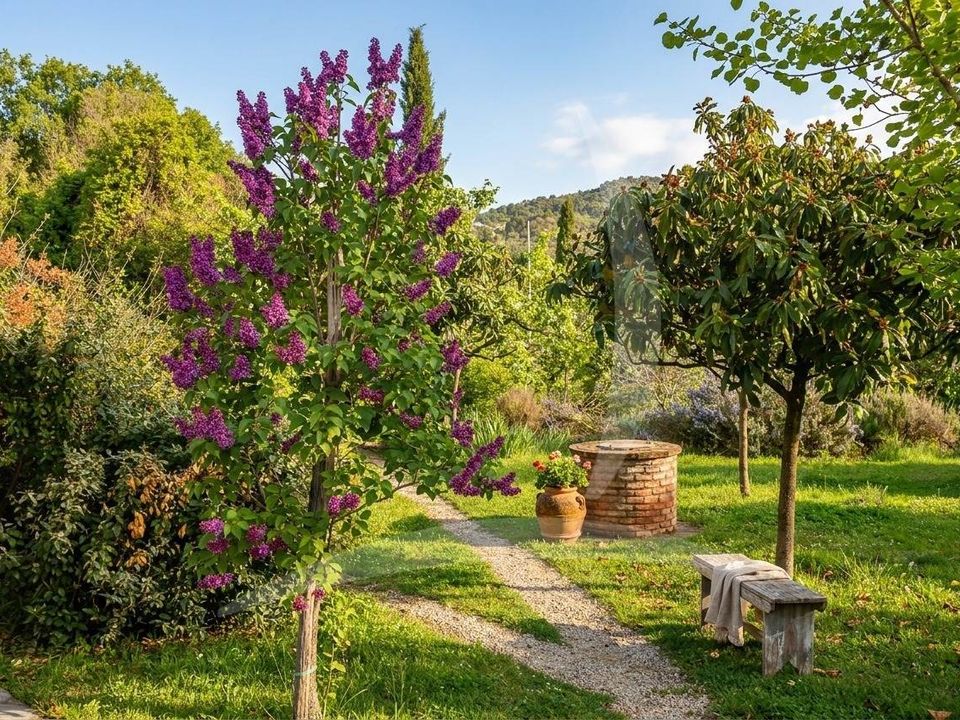 Landejendom i Cortona, Arezzo - foto 4