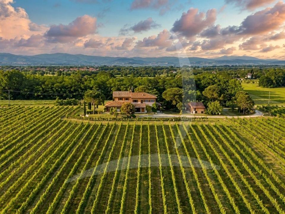 Farm hus i Castiglione del Lago, Perugia - foto 1
