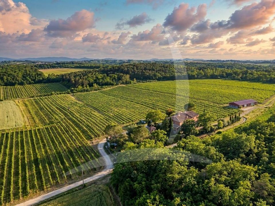 Farm hus i Castiglione del Lago, Perugia - foto 2