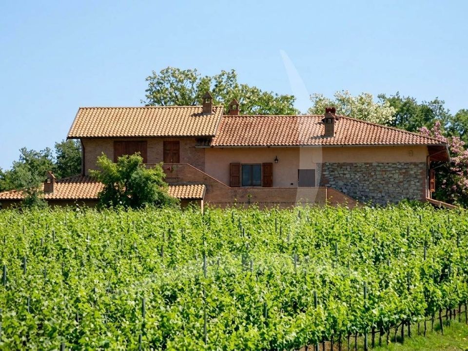 Farm hus i Castiglione del Lago, Perugia - foto 4