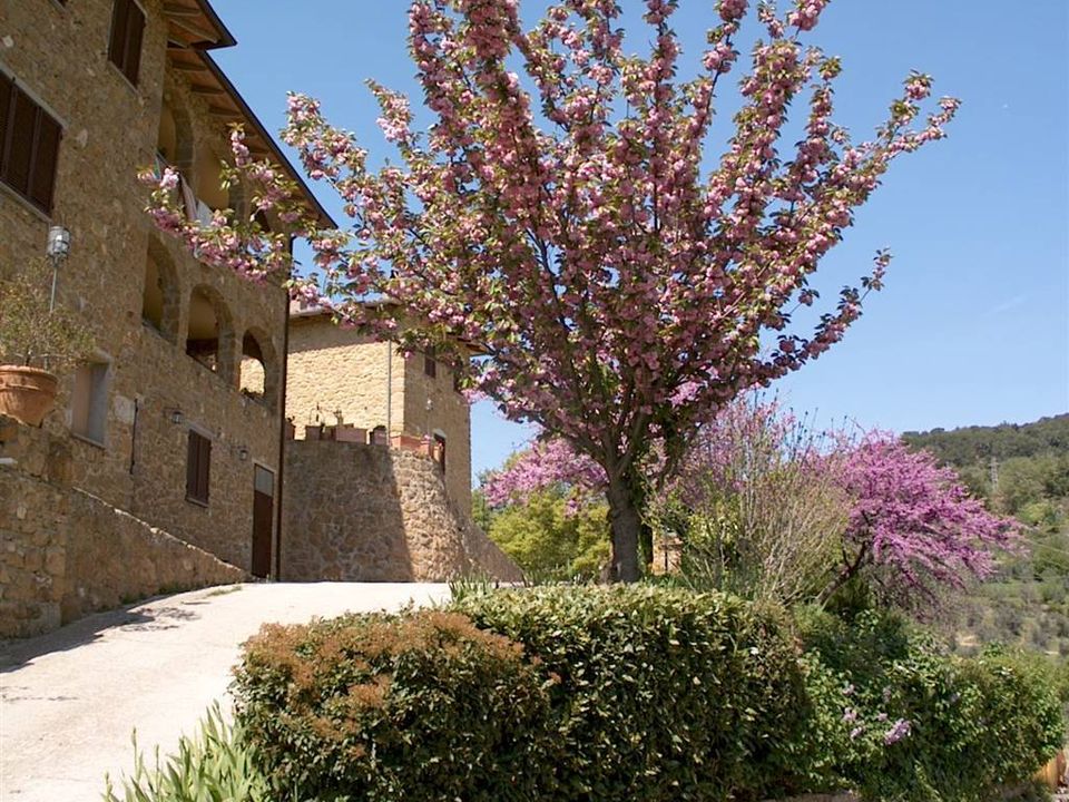Masia a Trequanda, Siena - foto 1