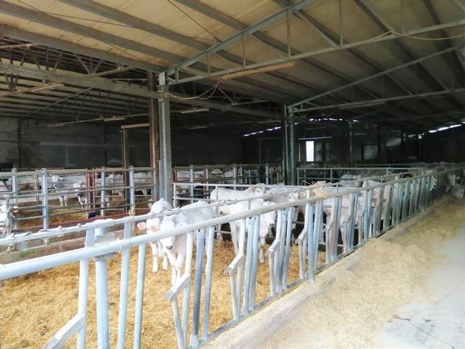 Farm hus i Umbertide, Perugia - foto 5