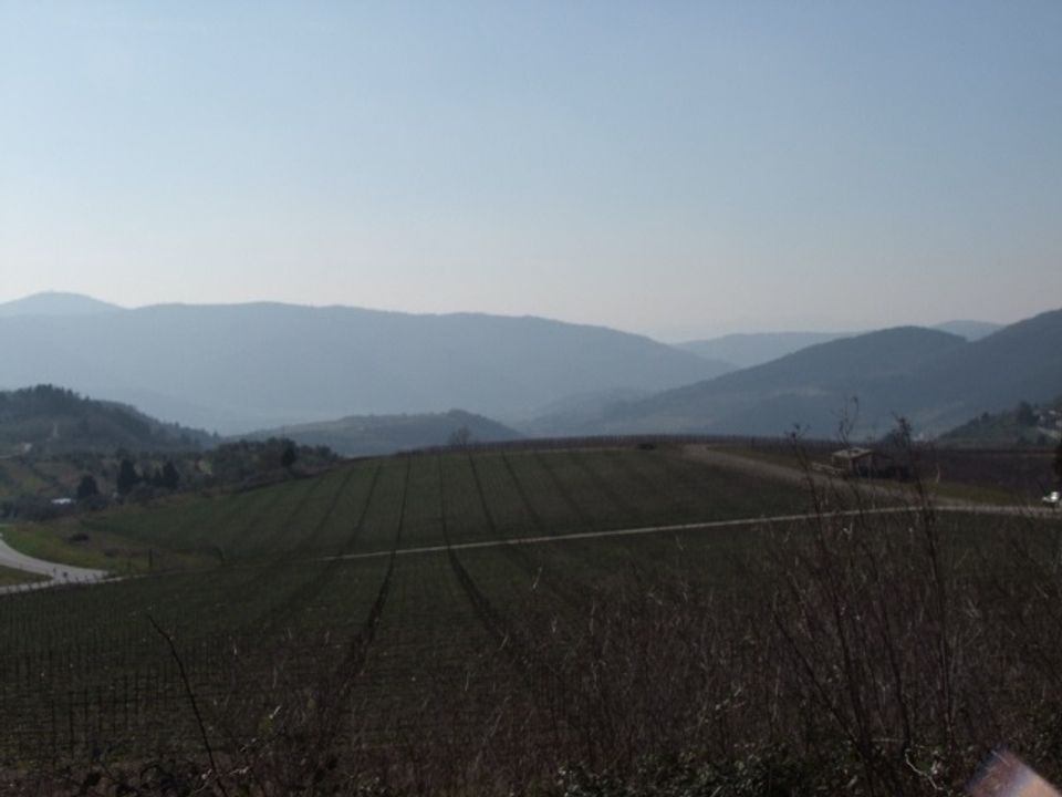 Landejendom i Pelago, Florence - foto 2