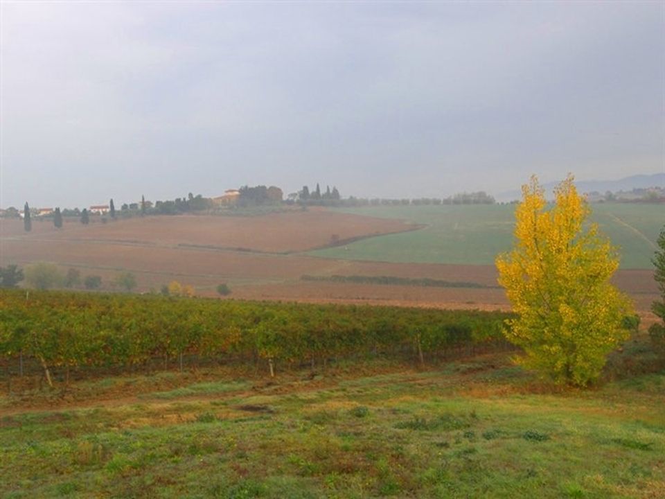 Farm hus i Cortona, Arezzo - foto 2