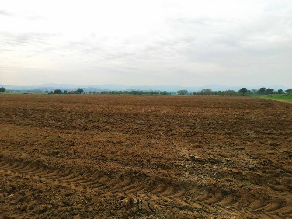 Farm hus i Montepulciano, Siena - foto 2
