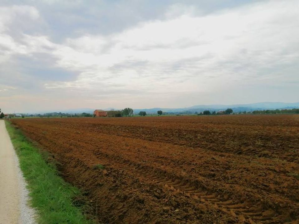 Farm hus i Montepulciano, Siena - foto 3
