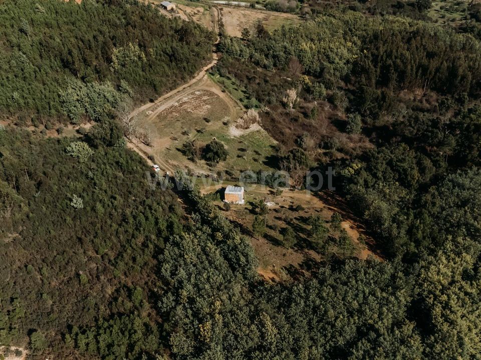 Landejendom i Covilha, Castelo Branco - foto 2