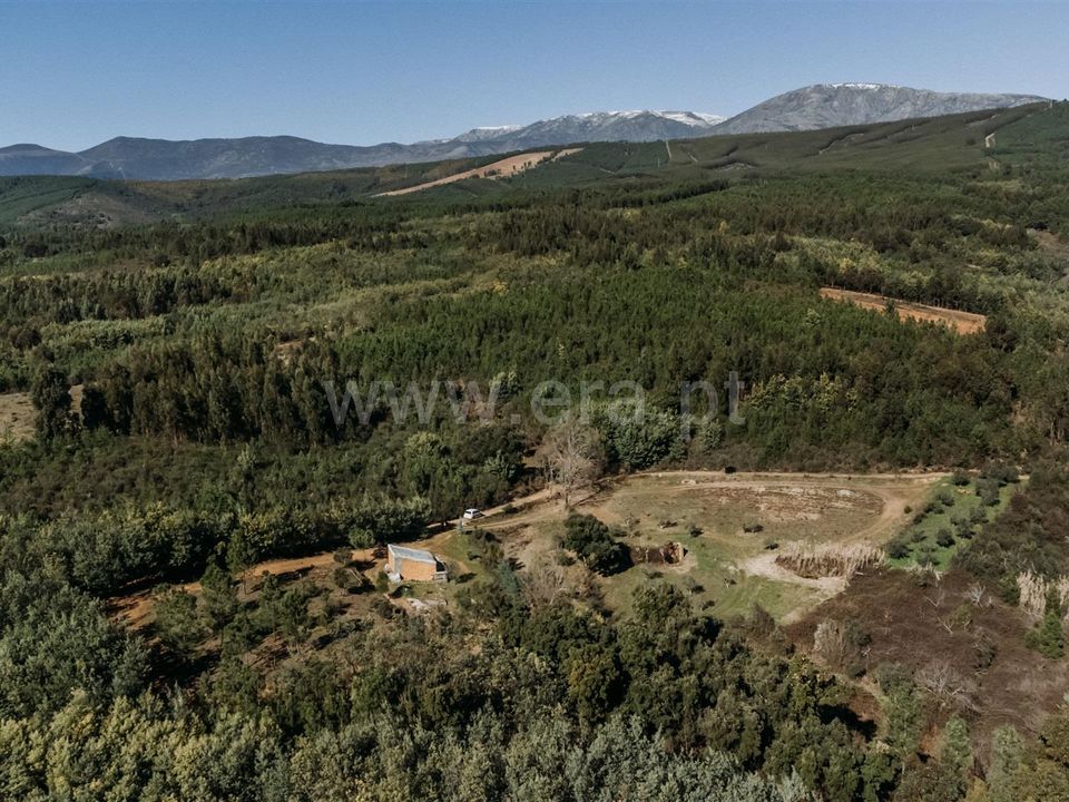 Landejendom i Covilha, Castelo Branco - foto 4