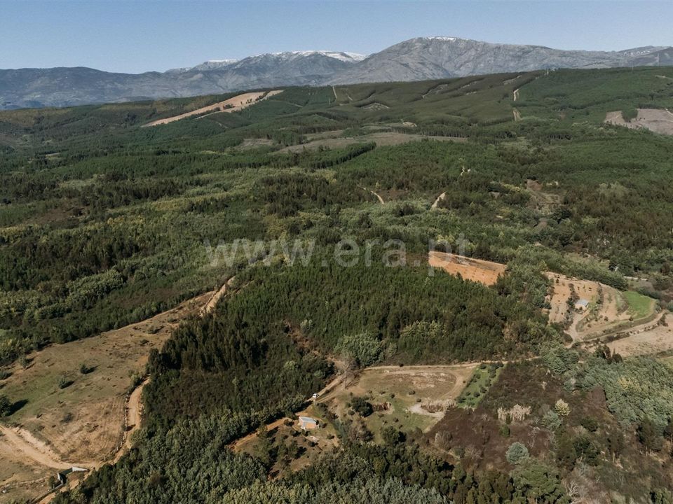 Landejendom i Covilha, Castelo Branco - foto 5