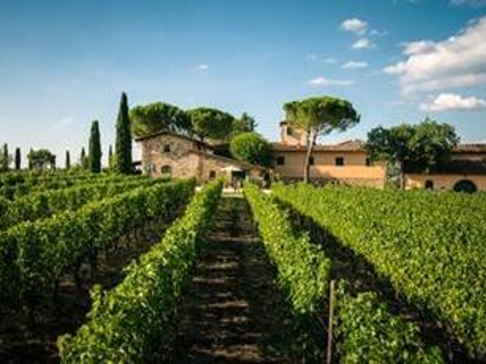 Villa i San Casciano in Val di Pesa, Florence - foto 2