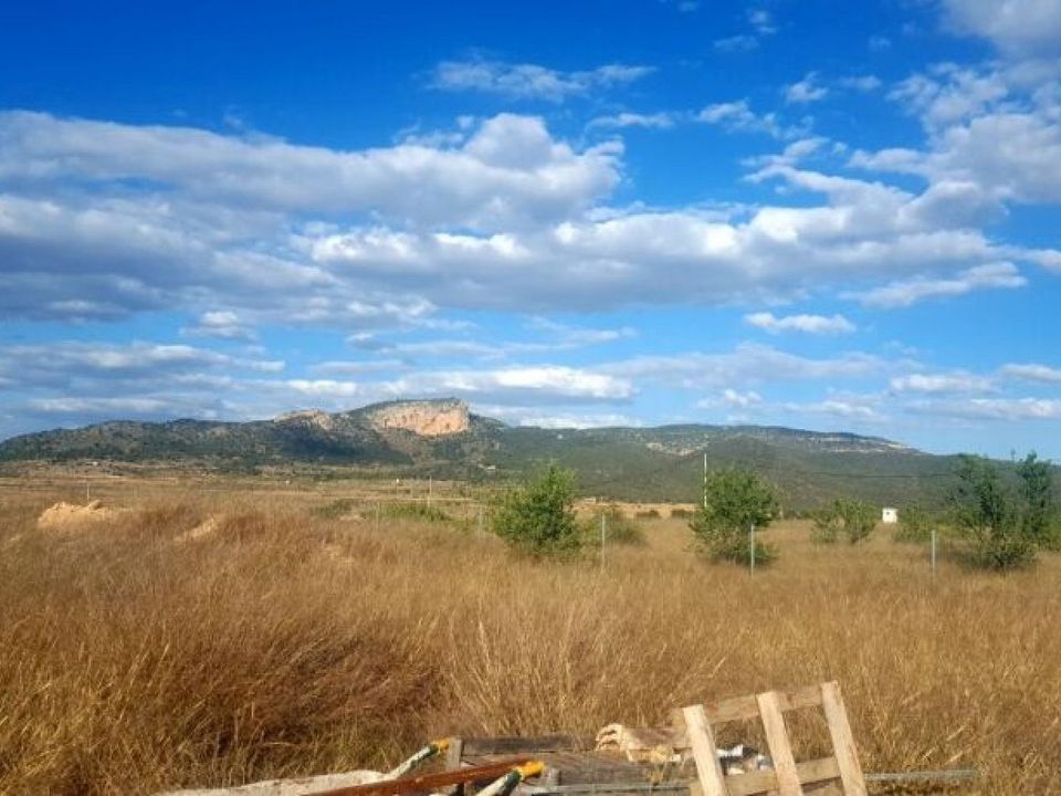 Helårsgrund i Monovar, Alicante - foto 3