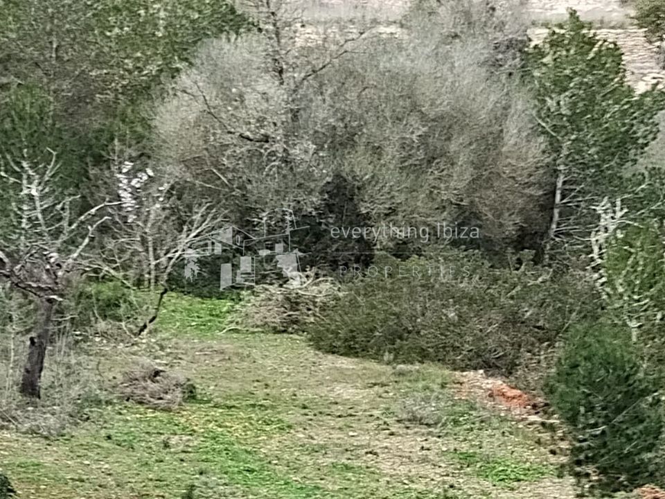 Helårsgrund i Sant Josep de sa Talaia, Ibiza - foto 5