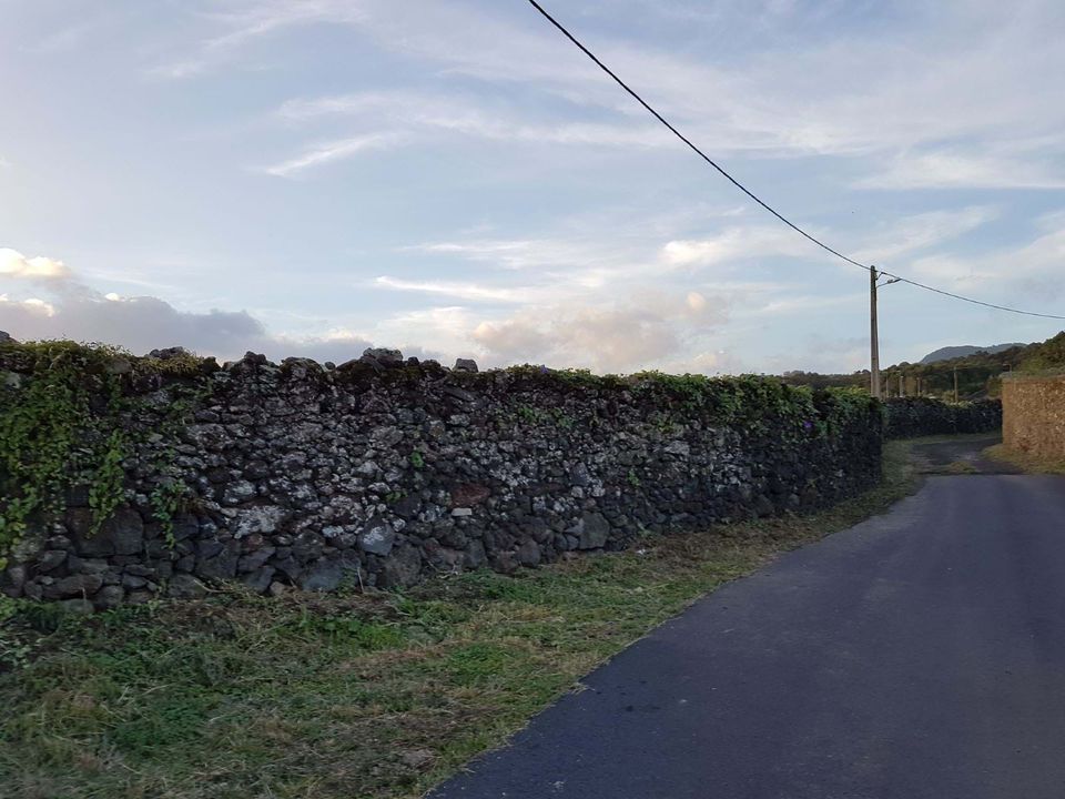 Helårsgrund i Lagoa, Sao Miguel - foto 4