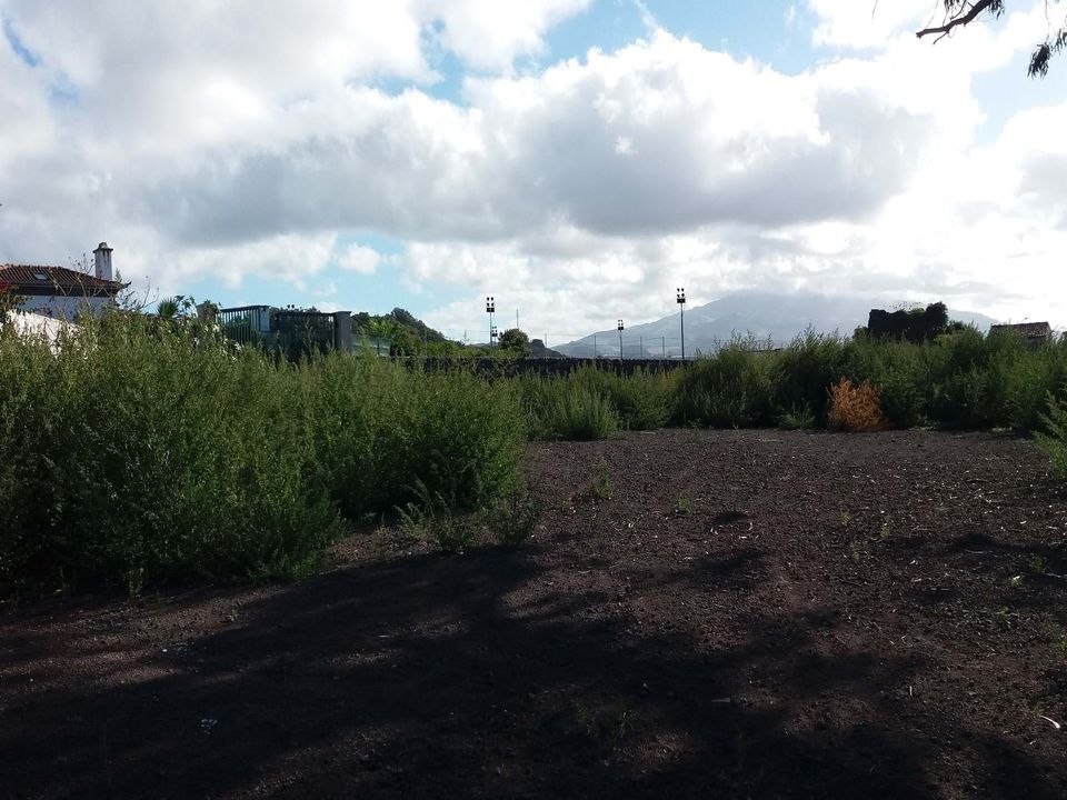 Helårsgrund i Ponta Delgada, Sao Miguel - foto 5