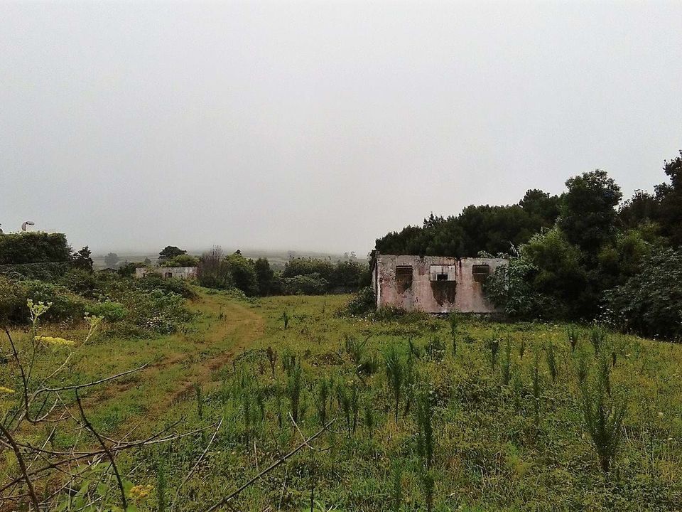 Helårsgrund i Ponta Delgada, Sao Miguel - foto 2