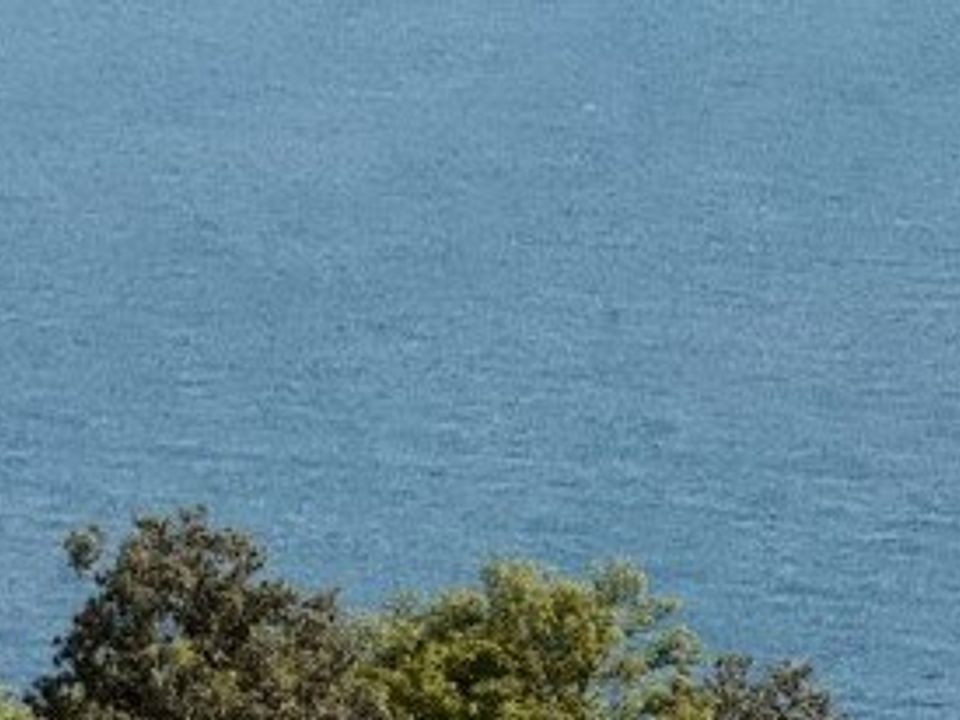 Erhvervsejendom i Lajes do Pico, Pico - foto 2
