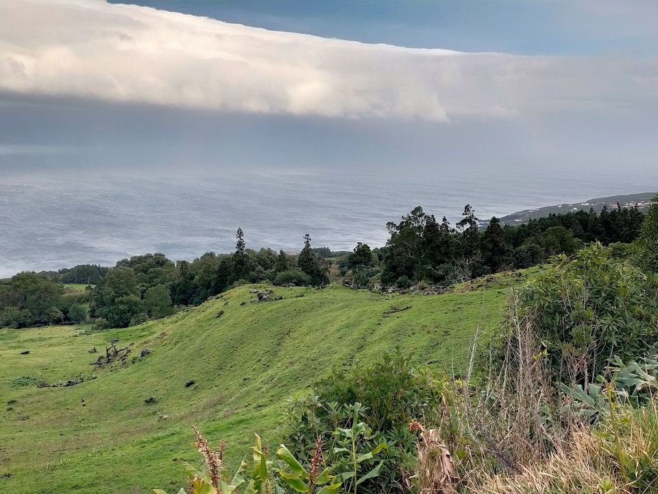 Helårsgrund i Lajes do Pico, Pico - foto 2